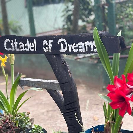 Apartamento Citadel Of Dreams Ella Exterior foto